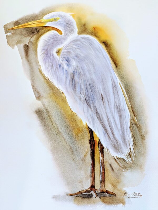 White Heron watercolor by Elena Mahoney