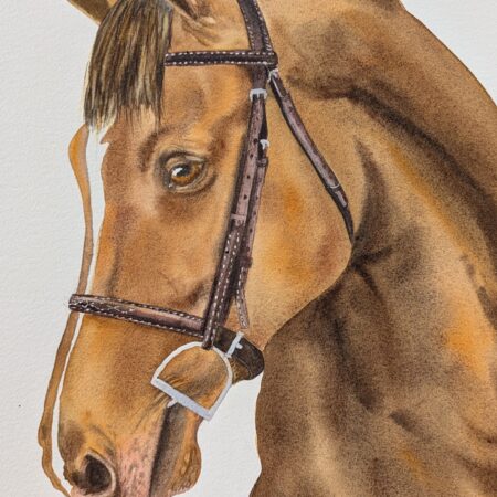 Horse watercolor by Elena Mahoney