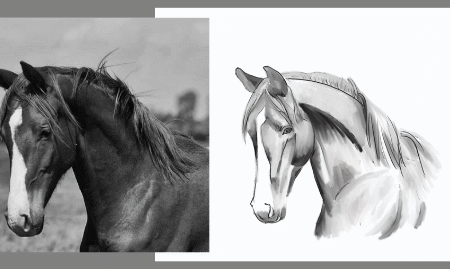 Summer Drawing Class with Anna Festa