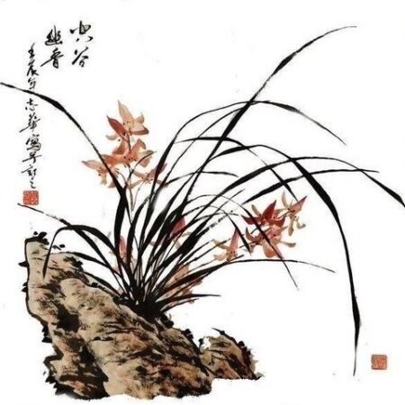Wild Orchid